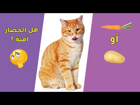 فيديو: كيفية تقدير عمر الكلب من خلال أسنانهم