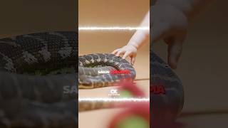 Bebekleri Yılanlarla Aynı Odaya Koydular 😳🐍