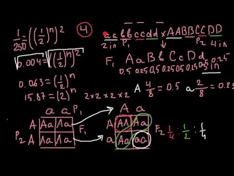 How to find how many alleles control a trait?