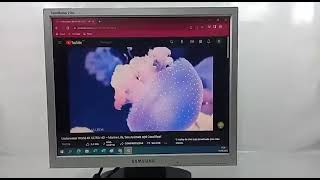 TESTE DE FUNCIONAMENTO Monitor Samsung Syncmaster 510n 15 Poleg Usado Z675
