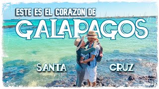 SANTA CRUZThe MOST VISITED Island in the Galapagos❗❗ Really worth it❓ LOOK at what we did in 1/D