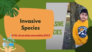 Invasive Species, St. Ambrose R.c. Primary School, United Kingdom