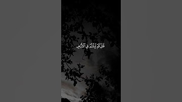 #اني_جزيتهم_اليوم_بما_صبروا_انهم_هم_الفائزون🌿#سورة_المؤمنون #قرآن #اسلام_صبحي #المصحف #اكسبلور