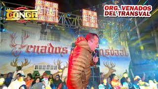LA FIESTA DE LOS VENADOS DE TRANSVAL SONIDO LA CONGA PENON DE LOS BANOS 2022