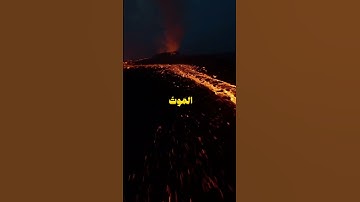 🔹 خشوع يبكي القلوب | تلاوة مؤثرة للشيخ ياسر الدوسري من سورة النساء 🔹