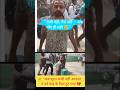 Surat se पलायन karte hue इस मजदूर का video बहुत viral h😭😭😭