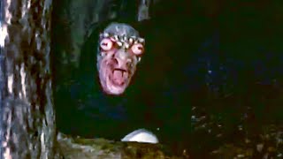 Filmmakers Stumble Upon SHOCKING Evidence of Frogman Existence Filmmakers Stumble Upon SHOCKING Evidence of Frogman Existence