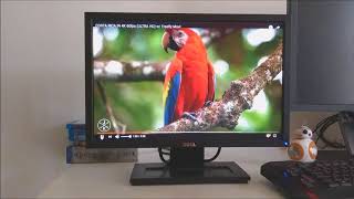 TESTE DE VÍDEO MONITOR DELL E1911