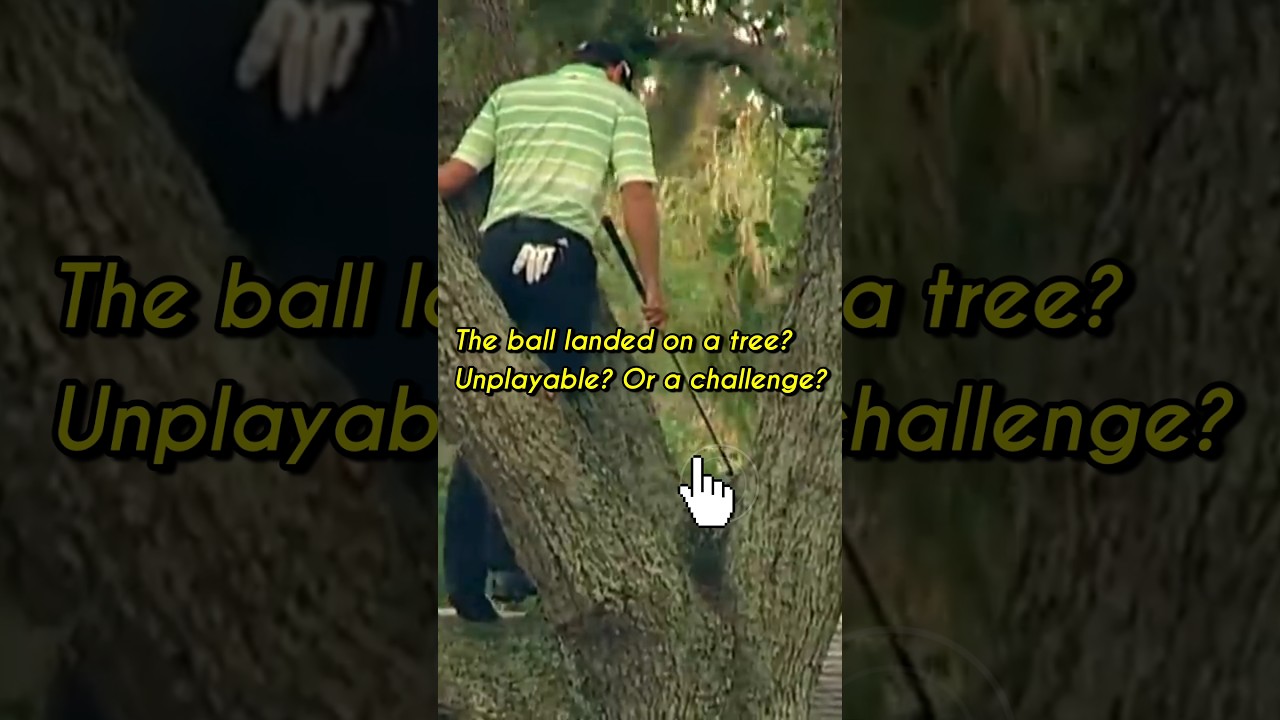 Sergio Garcia’s Unbelievable Tree Shot 🌳🔥 | Golf History Moment