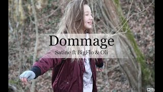 Dommage-Satine ft Bigflo & Oli (Mashup)//Team.Satinerie