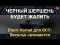 Black Hornet для ВСУ: Маленькие дроны для больших дел. Почему они так важны?