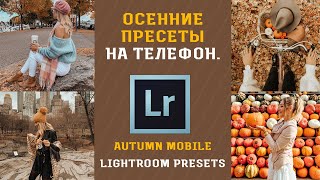 Осенние лайтрум пресеты в одно касание. Обработка на телефоне screenshot 3