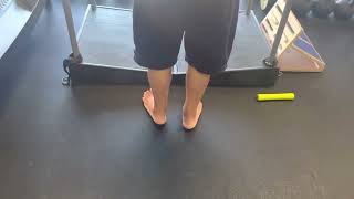Standing Ankle Rocks