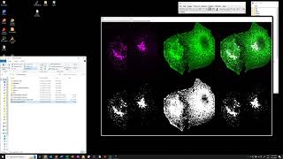 10 Run analysis on full 2D dataset using manual thresholds from paper (HD)