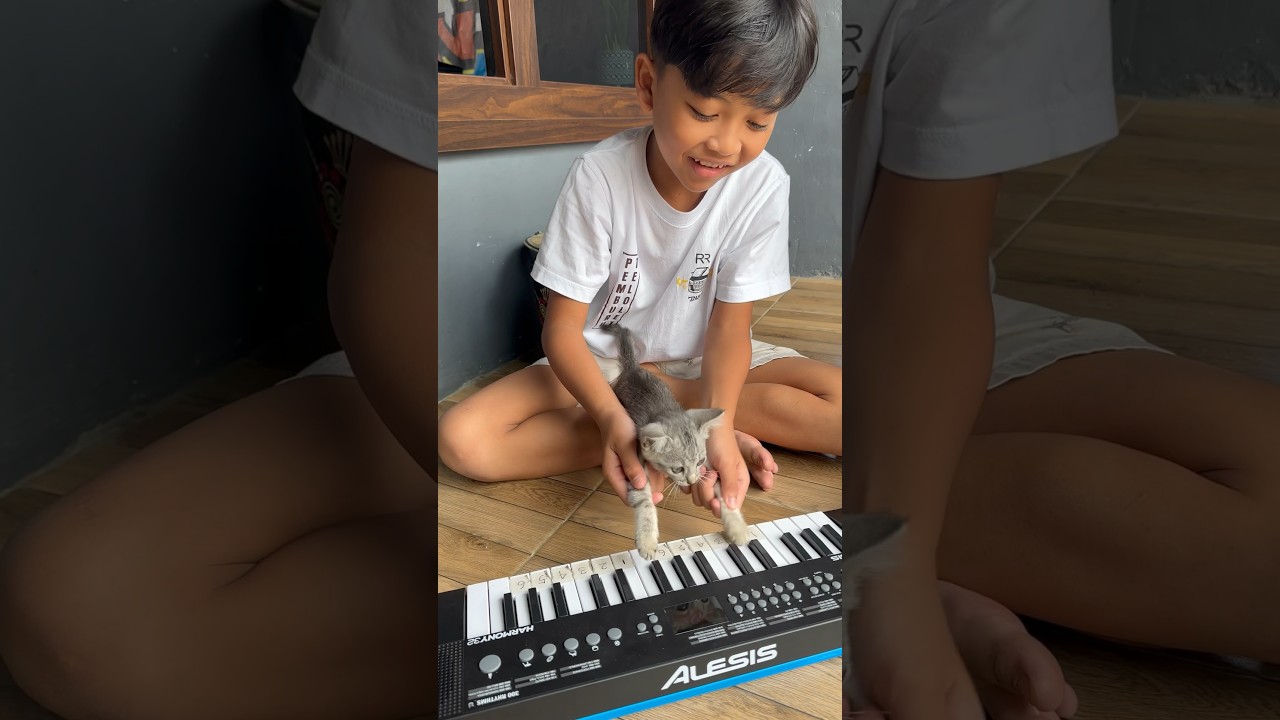 Kucing dimas main pianika 