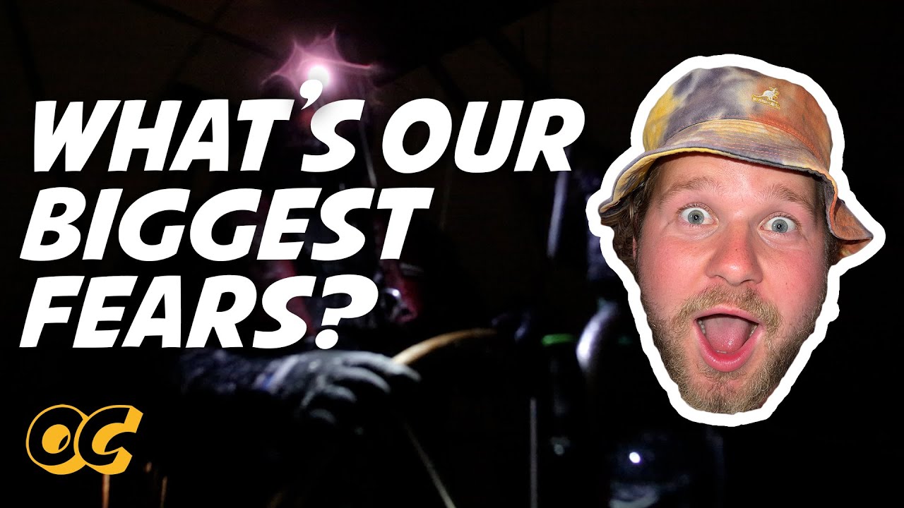 Answering your questions! | Q&A