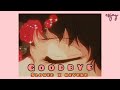 Goodbye Slowed And Reverb Jason Derulo X David Guetta Nicki Minaj Willy Williams 