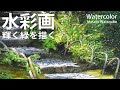 水彩で陽に輝く緑を描く　水彩メイキング　水彩画 　描き方 　How topaint watercolor Masato Watanabe