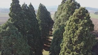 Grant's Getaways: Washington County's Land of the Giants screenshot 4