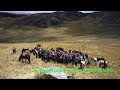 Poesía Quechua, Harawi: "Pantipata" Autor y Voz: Wilbert pacheco Alvarez