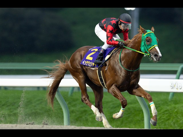 第58回 不来方賞(JpnⅡ) ◇R8(2026/9/1) - YouTube