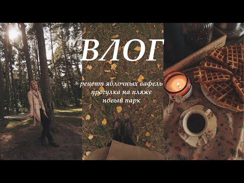 ВЛОГ: Я календарь переверну и снова осень на дворе