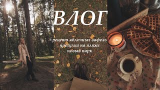 видео: ВЛОГ: Я календарь переверну и снова осень на дворе картинка: ВЛОГ: Я календарь переверну и снова осень на дворе
