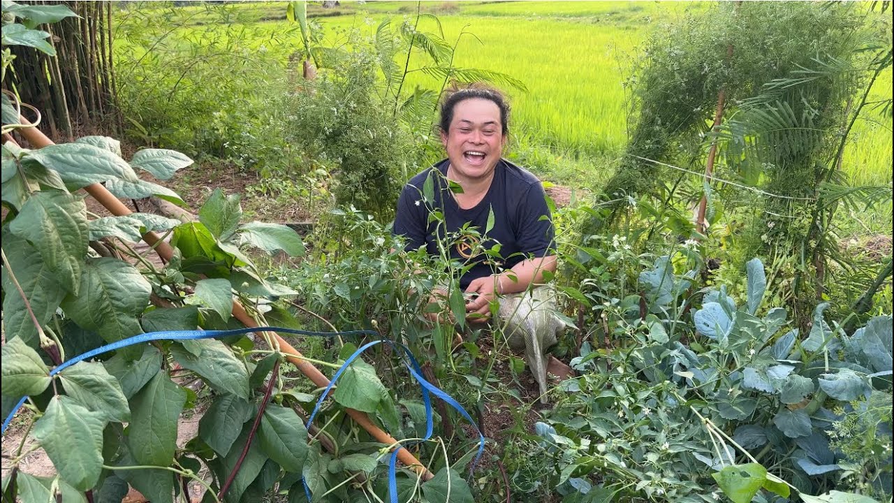 ผักที่ปลูกไว้วันนี้มีผลผลิตให้เก็บเกี่ยว ได้เมล็ดพันธุ์ที่จะเก็บไว้ลงในฤดูต่อไป