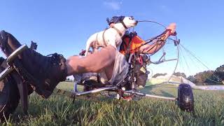 Man Flies Paramotor With Pet Dog in his Lap.