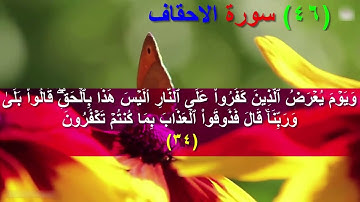 506 -  (ما معنى : أولوا العزم  ) سورة الاحقاف الاية 29 - 35  (Translatorمترجم)