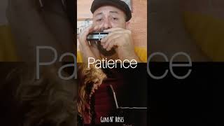 Patience  Guns N Roses  Chromatic Harmonica