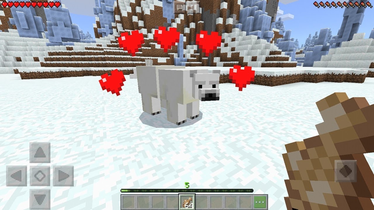 How To Tame Polar Bears In Minecraft Pocket Edition Youtube