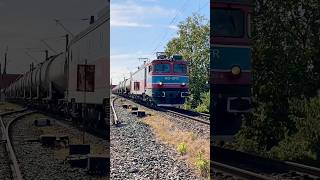 🚂🚃🔊Hauling beast: Class40 private GFR #locomotive at Red Bridge Canton (Arad,19.09.2026) #railway
