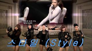 ☆스타일 (Style) - (EXID) - Every Night [Debut 1/2]