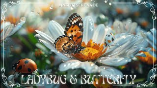 Amazing Colors of LADYBUG & BUTTERFLY  4K Nature Relaxation Film  & Birdsong ♫  #121