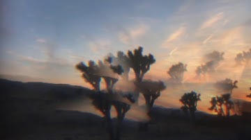 Driving through Joshua Tree at sunset