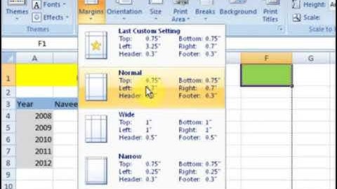 How to Margin Page Setup in Ms Excel in Urdu/Hindi