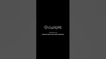إن يوم الفصل ميقاتهم أجمعين|كروما آيات قرآنيه القارئ أحمد حمادي