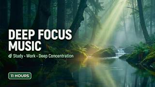 Deep Focus Music 🌿 11 Hours Misty Forest River Ambience | Study, Work & Deep Concentration