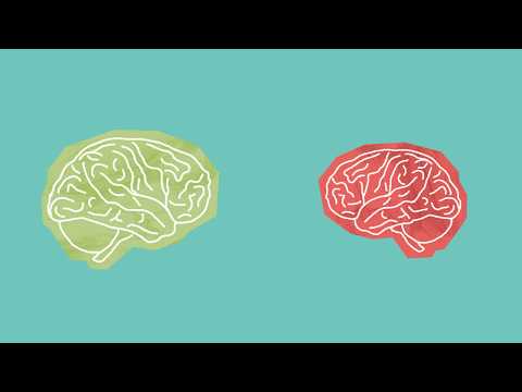 Transcranial Magnetic Stimulation: An Animated Explanation