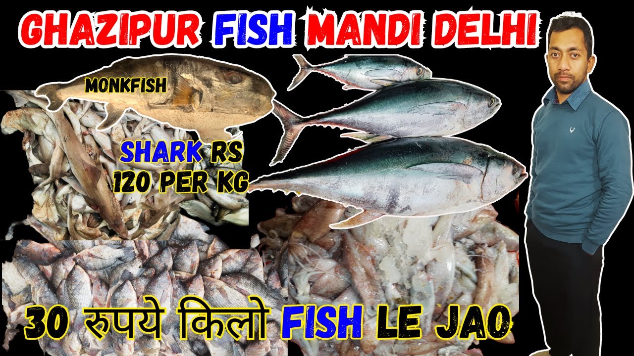 Ghazipur wholesale fish market Cheap and best fish market in Delhi