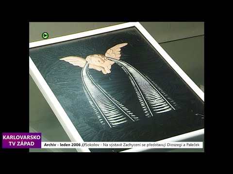 🖼️ 2006 – Sokolov: Na výstavě Zachycení se představují Dioszegi a Paleček (TV Západ)