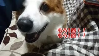 【そろばんやり方　かけ算⑨～⑪復習編】いしど式　MUGEN screenshot 3