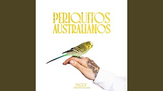 Periquitos Australianos