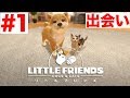 【Switch】リトルフレンズ-LITTLE FRIENDS実況