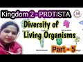 Biology class 9th NCERT Part 5 kingdom 2 PROTISTA