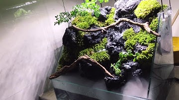 Aquaterarium- hồ bán cạn thác nước