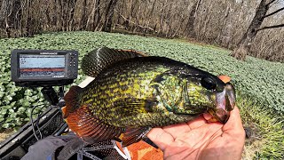 2lb Test Fishing With Gulp! Minnows For Flooded Forest Crappie (Catch Cook)