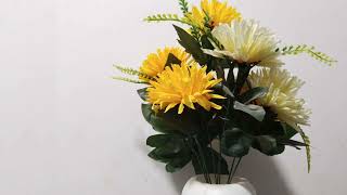 Soch - Zinda Maut Official Audio