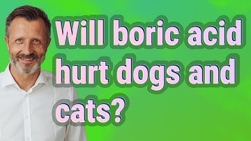 Will boric acid hurt dogs and cats?